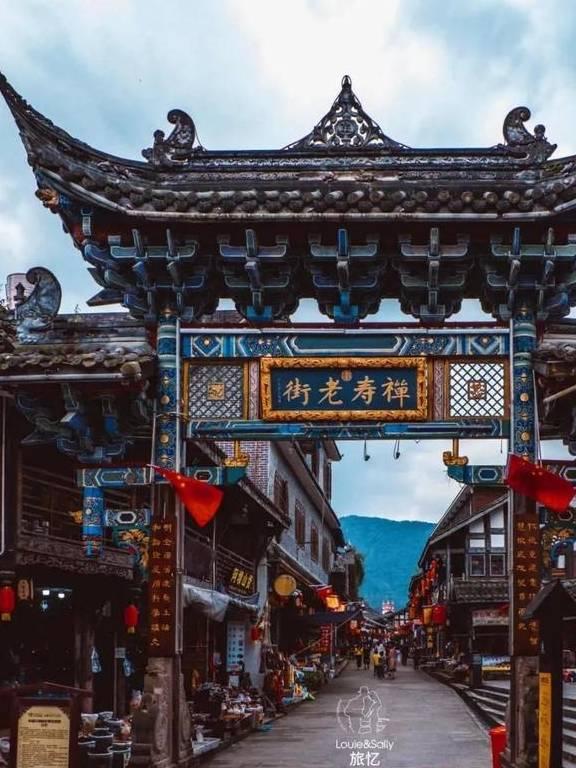 小长颈鹿逃离